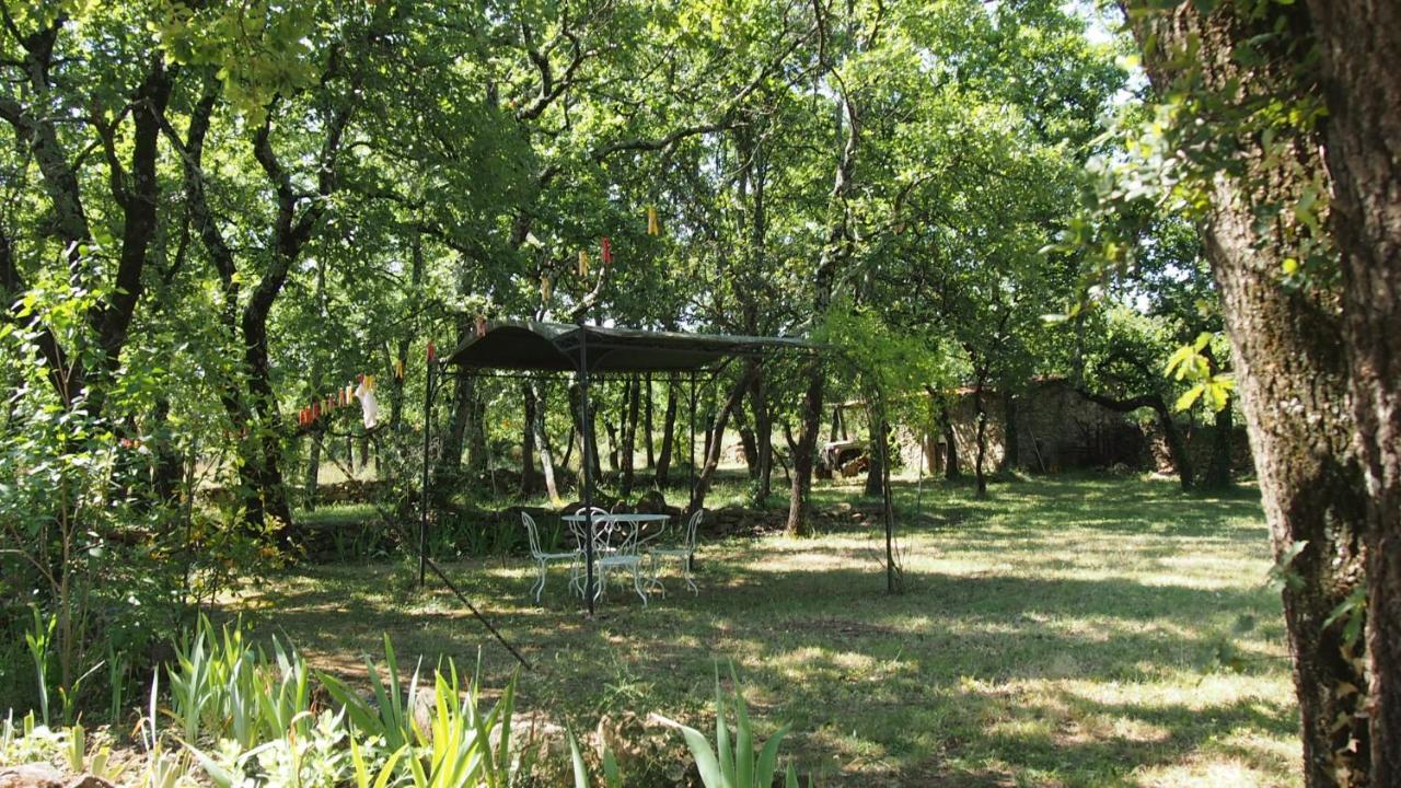 La Cheneraie Bed & Breakfast Vezenobres Екстериор снимка